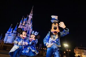 Disney Starlight Parade Magic Kingdom
